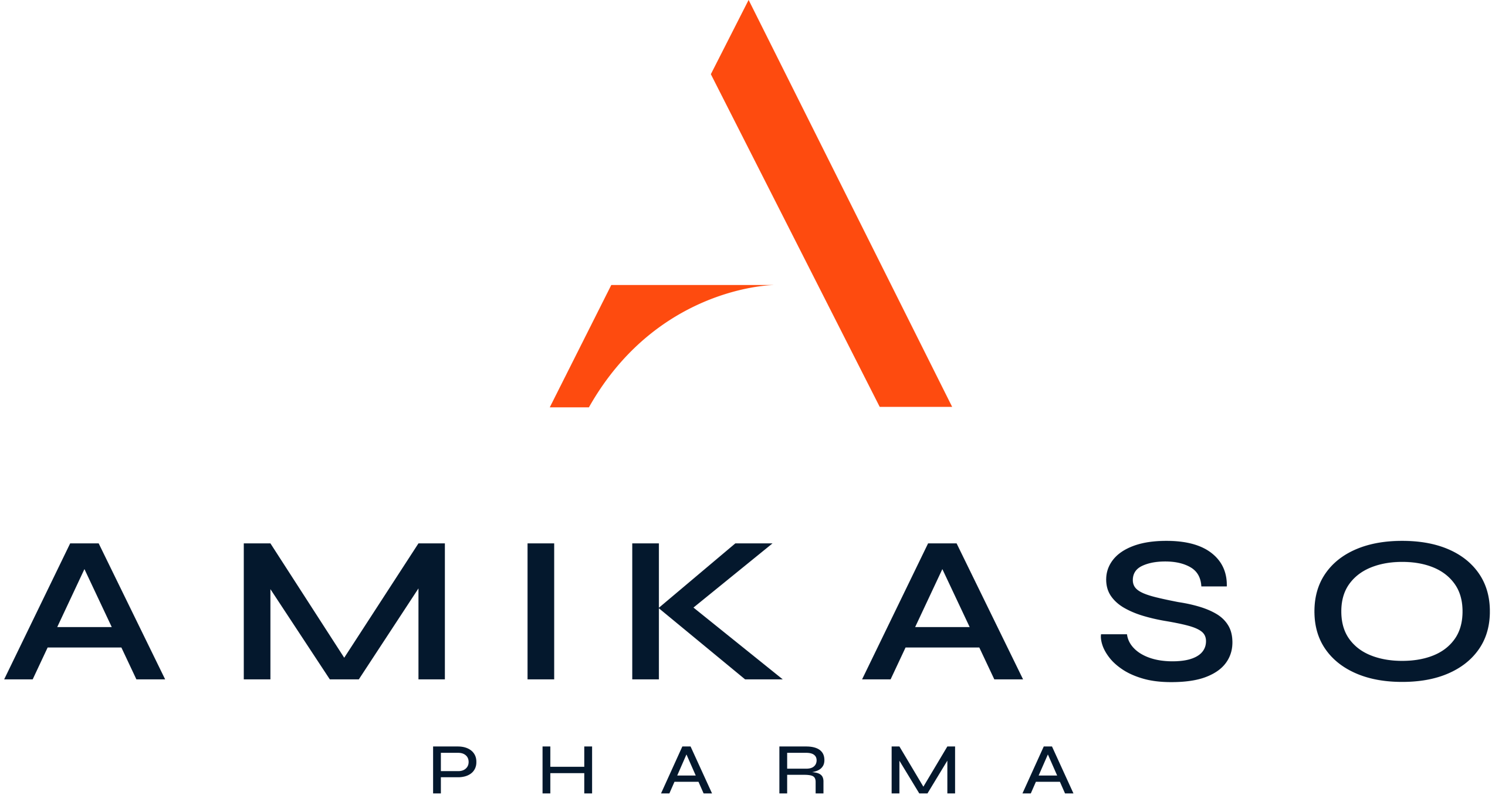 Amikaso Website